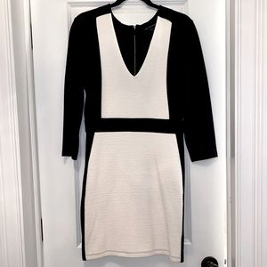 French Connection | Color-block Panel Dress, EUC, Size 12